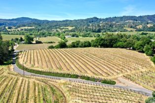 Single Family Residence,  Dry Creek road, Healdsburg, CA 95448 - 7