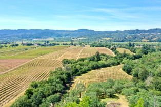 Single Family Residence,  Dry Creek road, Healdsburg, CA 95448 - 71