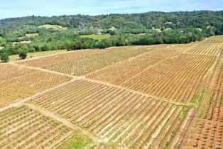 Single Family Residence,  Dry Creek road, Healdsburg, CA 95448 - 64
