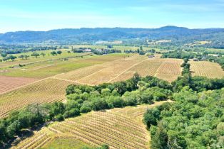 Single Family Residence,  Dry Creek road, Healdsburg, CA 95448 - 5