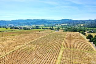 Single Family Residence,  Dry Creek road, Healdsburg, CA 95448 - 77