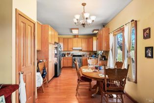 Single Family Residence,  Dry Creek road, Healdsburg, CA 95448 - 85
