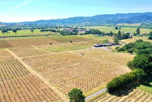 Single Family Residence,  Dry Creek road, Healdsburg, CA 95448 - 59