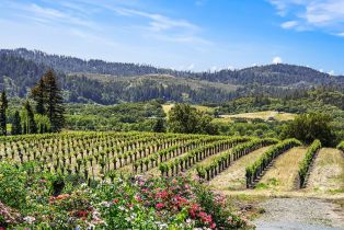Single Family Residence,  Dry Creek road, Healdsburg, CA 95448 - 54