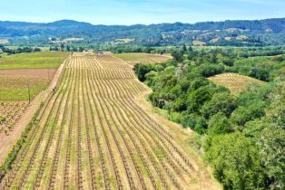 Single Family Residence,  Dry Creek road, Healdsburg, CA 95448 - 75