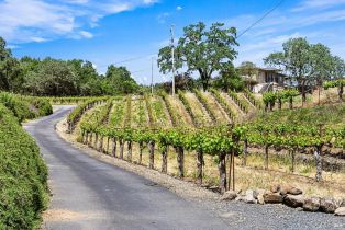 Single Family Residence,  Dry Creek road, Healdsburg, CA 95448 - 14