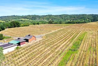 Single Family Residence,  Dry Creek road, Healdsburg, CA 95448 - 53