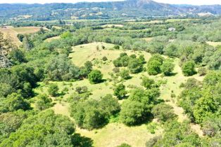 Single Family Residence,  Dry Creek road, Healdsburg, CA 95448 - 73