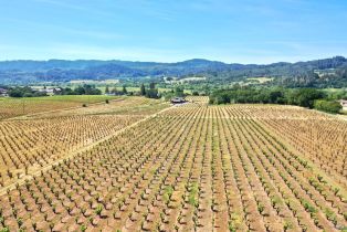 Single Family Residence,  Dry Creek road, Healdsburg, CA 95448 - 68
