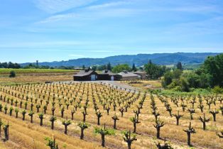 Single Family Residence,  Dry Creek road, Healdsburg, CA 95448 - 80