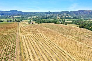 Single Family Residence,  Dry Creek road, Healdsburg, CA 95448 - 66
