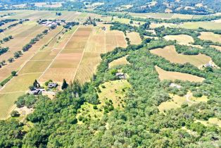 Single Family Residence,  Dry Creek road, Healdsburg, CA 95448 - 72