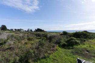 Single Family Residence,  Sea Meadow drive, Sea Ranch, CA 95497 - 7