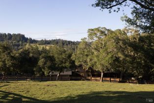 Single Family Residence,  Taylor lane, Occidental, CA 95465 - 44