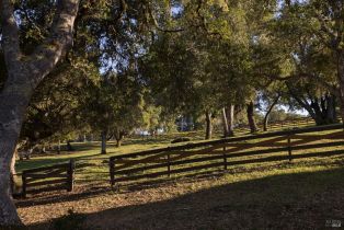 Single Family Residence,  Taylor lane, Occidental, CA 95465 - 43