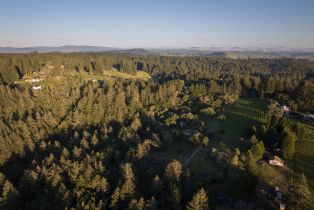 Single Family Residence,  Taylor lane, Occidental, CA 95465 - 54