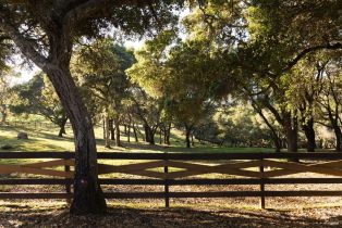 Single Family Residence,  Taylor lane, Occidental, CA 95465 - 48