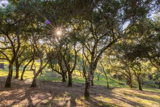 Single Family Residence,  Taylor lane, Occidental, CA 95465 - 49