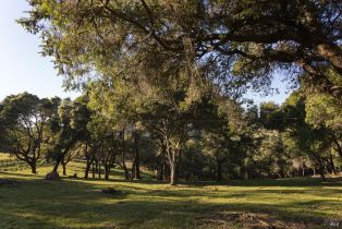 Single Family Residence,  Taylor lane, Occidental, CA 95465 - 47