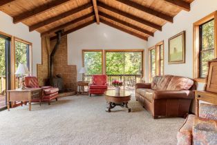 Single Family Residence,  Taylor lane, Occidental, CA 95465 - 7