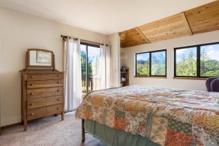 Single Family Residence,  Taylor lane, Occidental, CA 95465 - 19