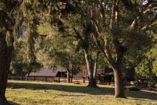 Single Family Residence,  Taylor lane, Occidental, CA 95465 - 41
