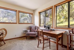 Single Family Residence,  Taylor lane, Occidental, CA 95465 - 23
