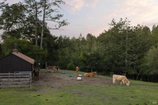 Single Family Residence,  Taylor lane, Occidental, CA 95465 - 45