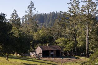 Single Family Residence,  Taylor lane, Occidental, CA 95465 - 42