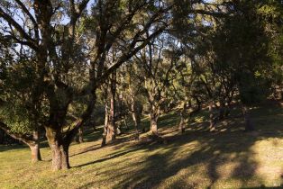 Single Family Residence,  Taylor lane, Occidental, CA 95465 - 46