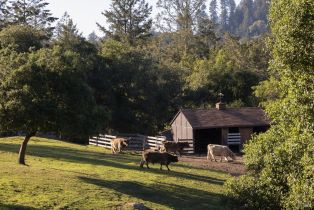 Single Family Residence,  Taylor lane, Occidental, CA 95465 - 4