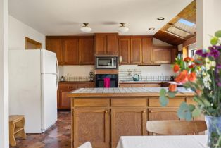 Single Family Residence,  Taylor lane, Occidental, CA 95465 - 12