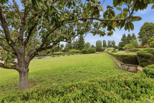 Single Family Residence, Metz lane, Petaluma, CA 94952 - 77