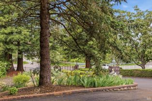 Single Family Residence, Metz lane, Petaluma, CA 94952 - 71