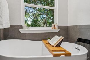 Single Family Residence, Cobbler lane, Petaluma, CA 94952 - 30
