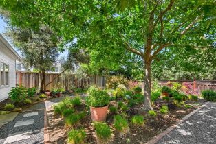 Single Family Residence,  Lupine court, Healdsburg, CA 95448 - 30