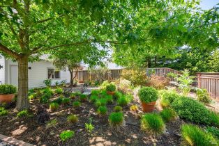 Single Family Residence,  Lupine court, Healdsburg, CA 95448 - 32