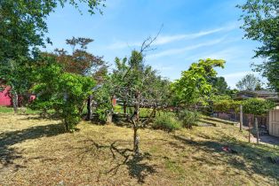 Single Family Residence,  Kim court, Sebastopol, CA 95472 - 41