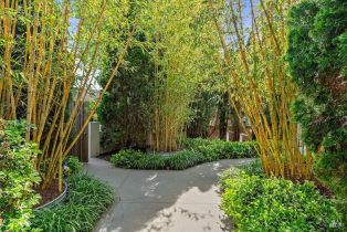 Single Family Residence,  Eastside road, Healdsburg, CA 95448 - 6