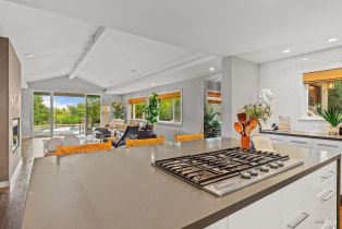 Single Family Residence,  Eastside road, Healdsburg, CA 95448 - 19