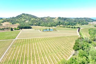 Agriculture,  W Soda Rock lane, Healdsburg, CA 95448 - 14