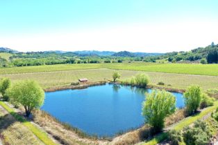 Agriculture,  W Soda Rock lane, Healdsburg, CA 95448 - 11