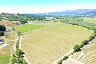 Agriculture,  W Soda Rock lane, Healdsburg, CA 95448 - 32