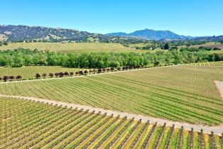 Agriculture,  W Soda Rock lane, Healdsburg, CA 95448 - 35