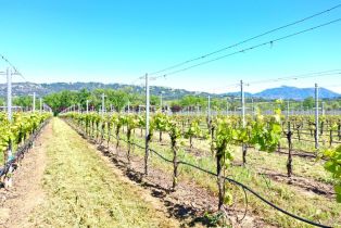 Agriculture,  W Soda Rock lane, Healdsburg, CA 95448 - 27