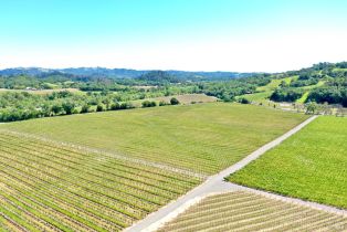Agriculture,  W Soda Rock lane, Healdsburg, CA 95448 - 30