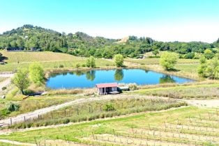 Agriculture,  W Soda Rock lane, Healdsburg, CA 95448 - 23