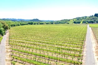 Agriculture,  W Soda Rock lane, Healdsburg, CA 95448 - 22