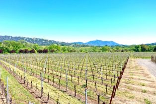Agriculture,  W Soda Rock lane, Healdsburg, CA 95448 - 37