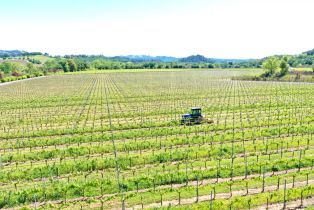 Agriculture,  W Soda Rock lane, Healdsburg, CA 95448 - 6